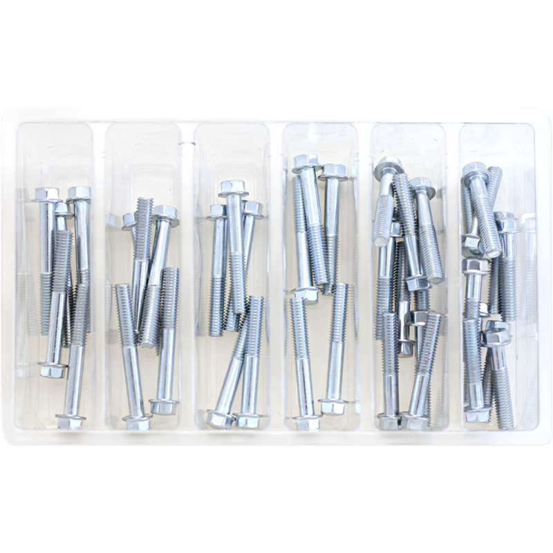 SV-M6HEXF-2 BOLT M6 8mm Hex Flange Bolt Assortment 2 (Kt) M6 8mm Hex Flange Bolt Assortment 2 (Kt) HARDWARE KITS - ASSORTMENTS 