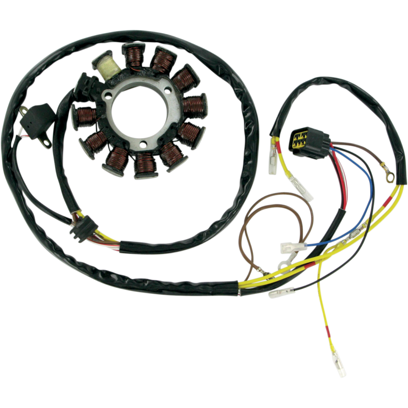 21-556 RICKS-MOTORSPORT-ELECTRIC STATOR STATOR Charging System 