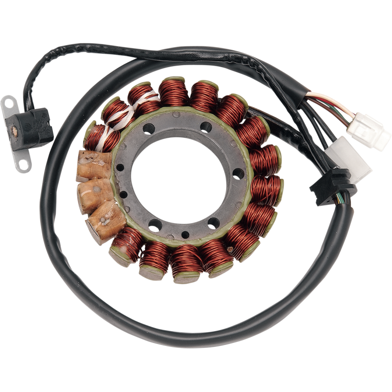 21-913 RICKS-MOTORSPORT-ELECTRIC STATOR STATOR Charging System 