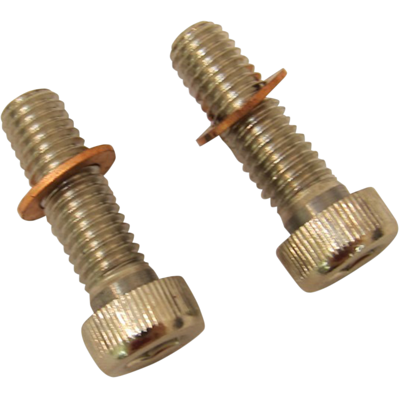 2401-0851 DRAG-SPECIALTIES 75-17 B/T SCREWS W/WSHRS DMPR TB 75-17 B/T SCREWS W/WSHRS DMPR TB HARDWARE KITS - APPLICATION RELATED 