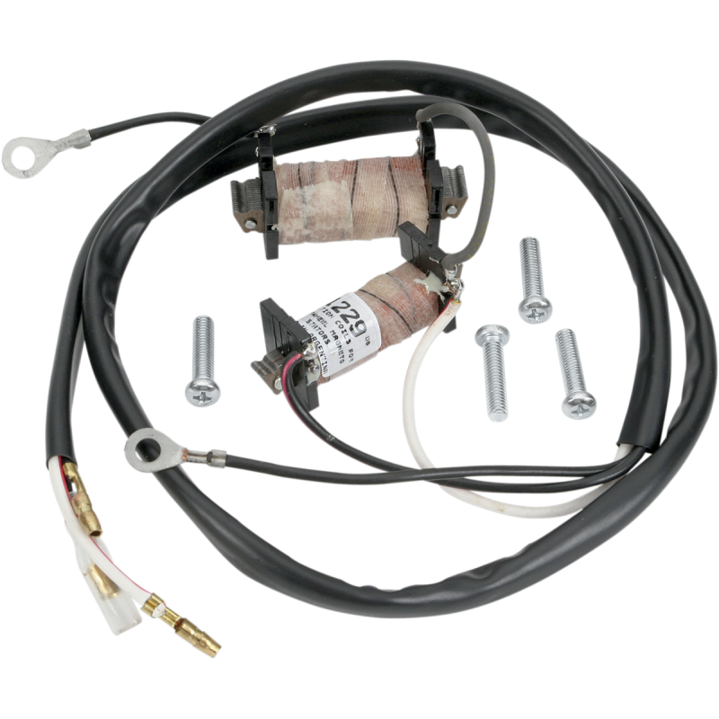 22-780 RICKS-MOTORSPORT-ELECTRIC STATOR STATOR Charging System 